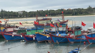 Tập trung ứng phó áp thấp nhiệt đới trên biển Đông