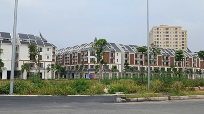 Mức độ quan tâm bất động sản đồng loạt tăng ở hầu hết các loại hình, khu vực