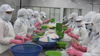 Nhiều mặt hàng thủy sản  xuất khẩu sang Mỹ gặp khó