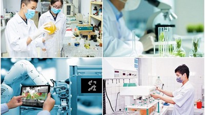 Doanh nghiệp được trích tối đa 20% thu nhập để lập quỹ phát triển khoa học công nghệ
