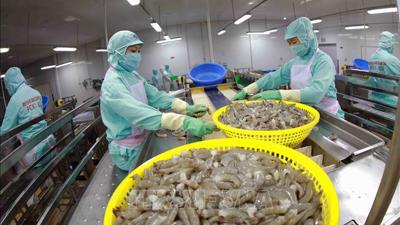 Xuất khẩu tôm 7 tháng: Tăng tốc ở châu Á, khó tại Mỹ