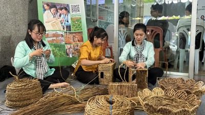 Khi  lá cỏ, xơ mướp thành “vàng xanh” lên kệ hàng thế giới