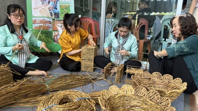 TP. Hồ Chí Minh: Cả hệ thống vào cuộc thúc đẩy phát triển kinh tế tư nhân