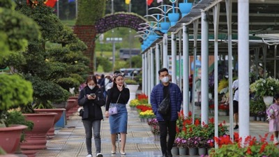 Lâm đồng: 4 ngày nghỉ lễ, doanh thu từ du lịch ước đạt 715 tỷ đồng