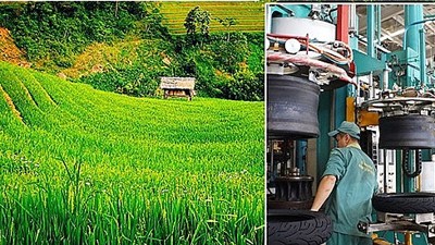 Phê duyệt Chương trình phát triển ngành công nghiệp môi trường Việt Nam giai đoạn 2025-2030