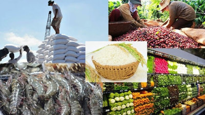 Điểm danh 3 thị trường tiêu thụ nông, lâm, thủy sản lớn nhất của Việt Nam