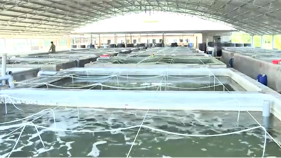 Quảng Ninh đẩy mạnh cơ giới hóa và chuyển đổi số trong sản xuất nông nghiệp