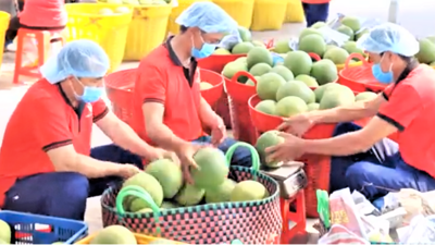 8 tháng năm 2025, Việt Nam xuất siêu nông, lâm, thủy sản đạt hơn 13 tỷ USD