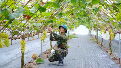 Quảng Ninh - Điểm sáng trong công tác giảm nghèo