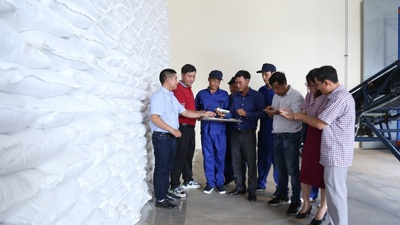 Kịp thời nhập, xuất, bảo quản an toàn hàng dự trữ quốc gia 