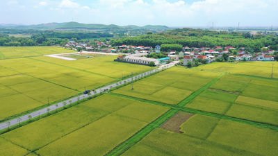 Đề xuất cơ chế tính tiền sử dụng đất khi chuyển từ đất nông nghiệp sang đất ở
