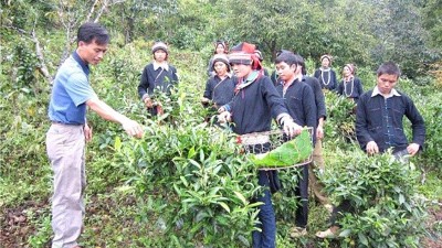 Củng cố hệ thống chính trị cơ sở: Chìa khóa xây dựng nông thôn mới
