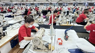 Kinh tế Việt Nam giữ cửa trong "gió ngược" sau một tháng bị áp thuế 20%