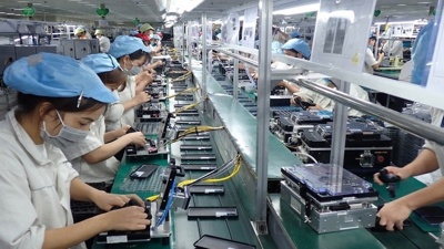 Xây dựng biểu thuế mới, thúc đẩy thương mại Việt Nam - UAE