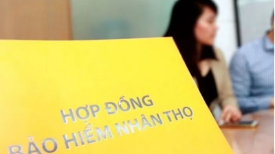 Nhiều doanh nghiệp bảo hiểm nhân thọ “bốc hơi” lợi nhuận trong nửa đầu năm 2025