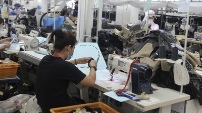 Vĩnh Long: Thành lập Ban chỉ đạo phát triển kinh tế tư nhân