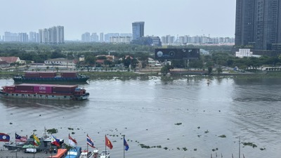 TP. Hồ Chí Minh: Nâng cao hiệu quả quản lý và tổ chức đấu thầu