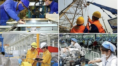 Tập trung nghiên cứu, hoàn thiện dự thảo Nghị quyết về phát triển kinh tế Nhà nước
