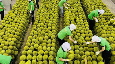 Để hàng Việt "phủ sóng" thị trường tỷ dân Trung Quốc