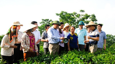 Thái Nguyên triển khai kế hoạch trọng tâm về giảm nghèo bền vững giai đoạn mới