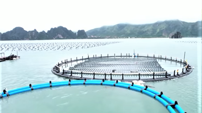 Quảng Ninh quy hoạch trên 45.000 ha diện tích nuôi biển