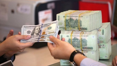 UOB lạc quan về triển vọng ổn định VND khi USD suy yếu