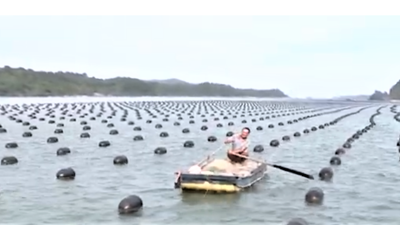 Quảng Ninh nhiều tiêm năng phát triển nông nghiệp sinh thái