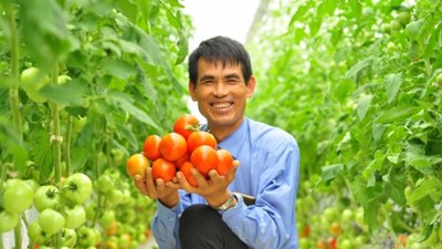 Thương mại điện tử - Chìa khóa vàng giúp nông sản Lâm Đồng cất cánh
