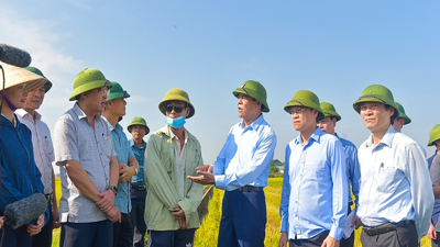 Hà Tĩnh: Từng bước kiến tạo nền nông nghiệp hiện đại, bền vững