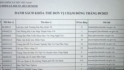 TP. Hồ Chí Minh: 822 người lao động bị khóa thẻ BHYT do đơn vị, doanh nghiệp chậm đóng bảo hiểm 