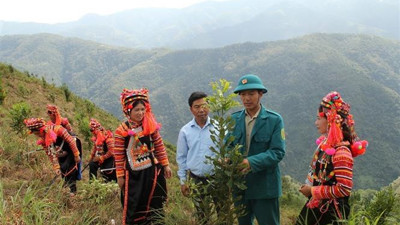 Nhiều mô hình kinh tế hiệu quả giúp Lai Châu giảm nghèo