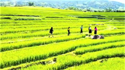 Quảng Ninh: Hiệu quả các nguồn lực tài chính trong bảo vệ môi trường