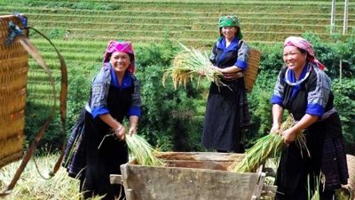 Vai trò của tài chính trong giảm nghèo bền vững