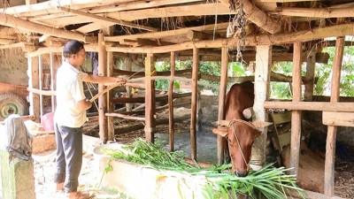 Tín dụng chính sách điểm tựa giảm nghèo bền vững ở Lào Cai