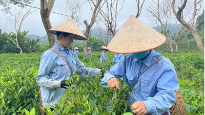 Điện Biên hướng tới giảm nghèo bền vững, nâng cao chất lượng cuộc sống