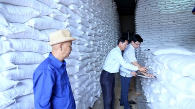 Đấu thầu thành công mua bổ sung 200.000 tấn gạo và 80.000 tấn thóc nhập kho dự trữ 