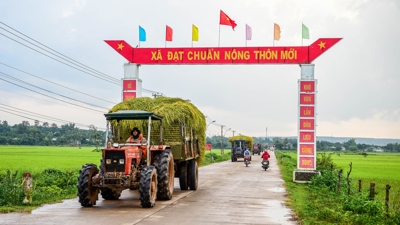 VIDEO: Chung tay dựng xây nông thôn mới – Khi lòng dân hoá thành sức mạnh