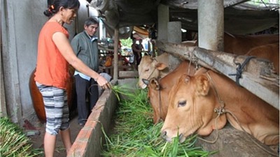 Vĩnh Long với công tác giảm nghèo đa chiều, không để ai bị bỏ lại phía sau