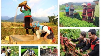 Kết quả nổi bật của Chương trình 1719 giai đoạn 2021-2025