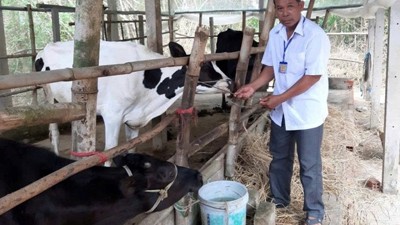 TP. Cần Thơ chú trọng giảm nghèo đa chiều, quyết tâm không để ai bị bỏ lại phía sau.