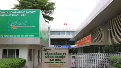 TP. Hồ Chí Minh: Sắp sếp lại doanh nghiệp nhà nước, báo cáo kết quả trước 30/9  