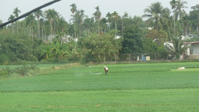 TP. Hồ Chí Minh thí điểm 54 khu đất nông nghiệp làm dự án nhà ở thương mại