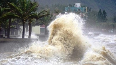 Cục Quản lý, giám sát bảo hiểm yêu cầu báo cáo thiệt hại bão số 10