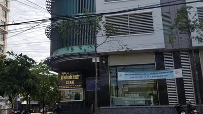 Cà Mau: Đề xuất phương án sắp xếp đơn vị sự nghiệp công lập và doanh nghiệp nhà nước
