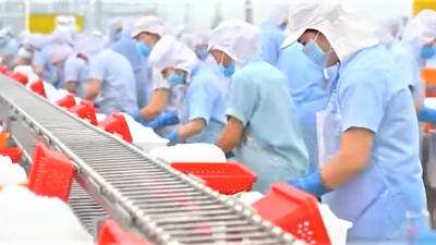 Khai thác hiệu quả thị trường nội địa - Động lực mới cho ngành cá tra Việt Nam