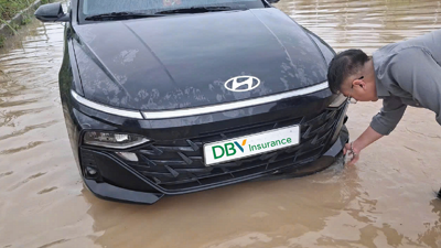 Tập đoàn Bảo hiểm DBV tiếp nhận 226 vụ tổn thất do bão số 10