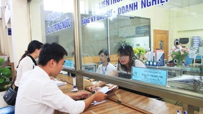 Khẩn trương hoàn thành chuyển đổi dữ liệu hộ kinh doanh vào cơ sở dữ liệu quốc gia