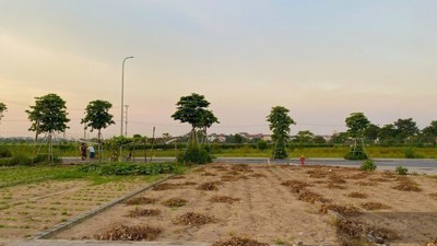 Nhà đầu tư đất nền chuyển cách nhìn: Từ đầu cơ sang nắm giữ ổn định