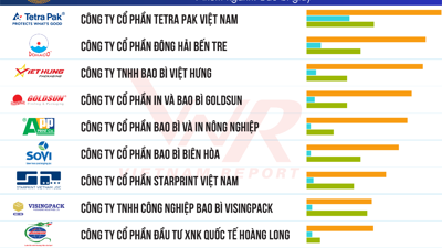 TOP 10 Công ty uy tín lĩnh vực Bao bì năm 2025 và triển vọng tăng trưởng ngành tích cực