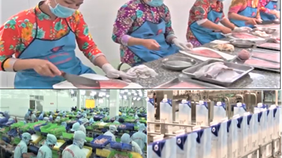 Chế biến sâu - Mắt xích không thể thiếu trong chuỗi giá trị nông nghiệp hiện đại